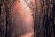 凯恩：最后的失球和伊藤的受伤令人恼火；很高兴能全取三分.