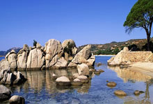 虎扑体育：[CBA]上海击败新疆夺得首届CBA俱乐部杯赛冠军.